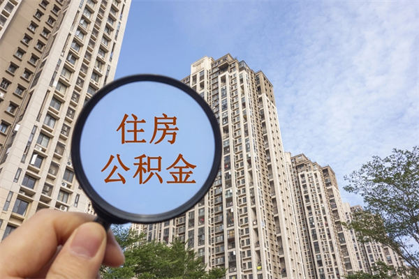 滕州深圳公积金（深圳公积金首页）